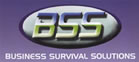 BSS - Business Survival Solutions - Business Service